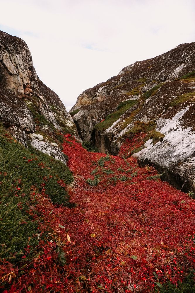 Photograph by Анна Катанова