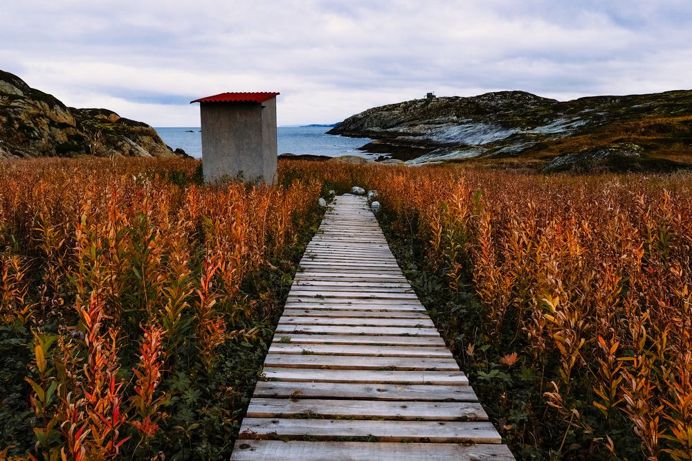 Photograph by Анна Катанова