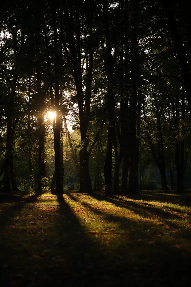 Осень.Сентябрь