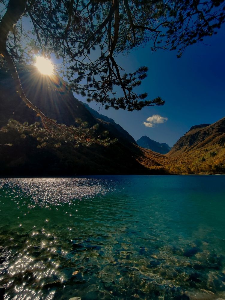 Фотография автора Таня Долгушева