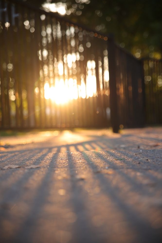 Осеннее солнце