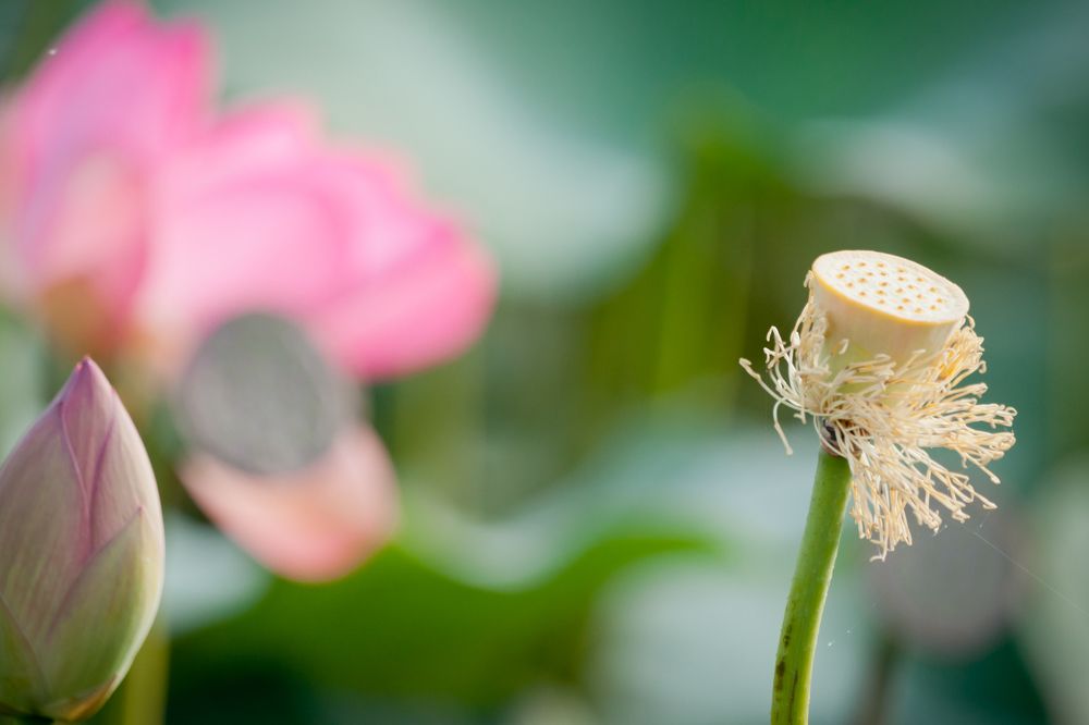 Photograph by Дария Максимова