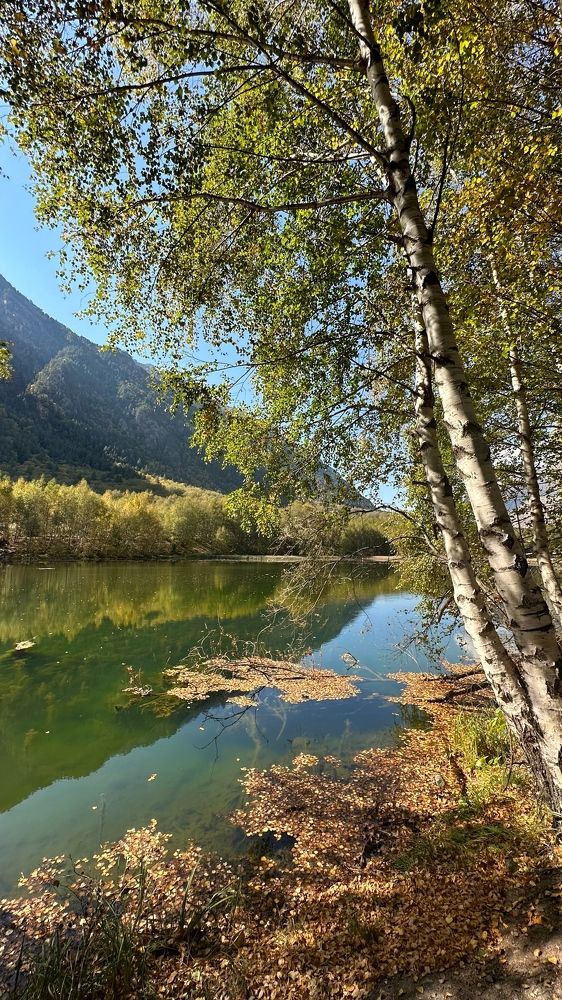 Photograph by Мария Алейникова