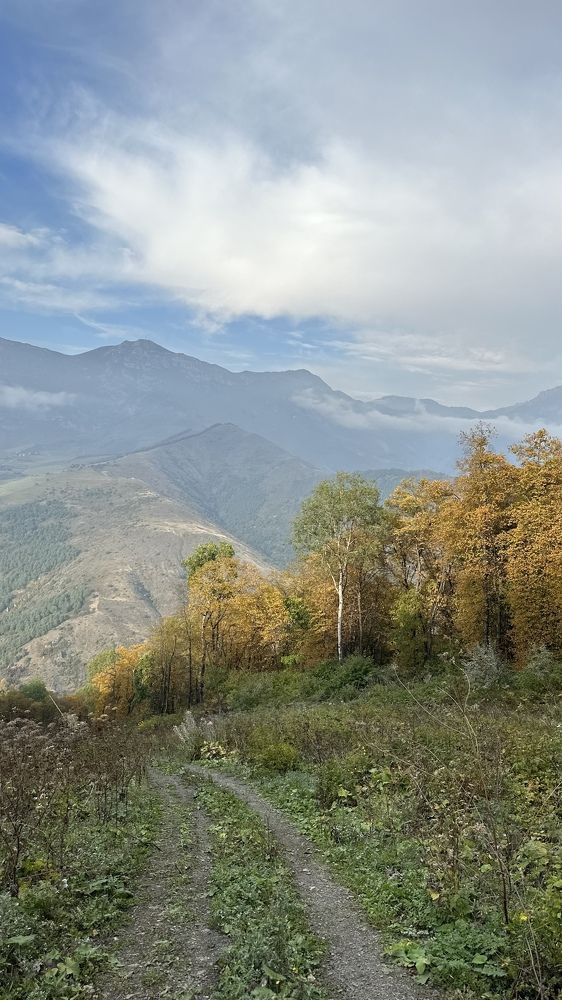 Photograph by Мария Алейникова