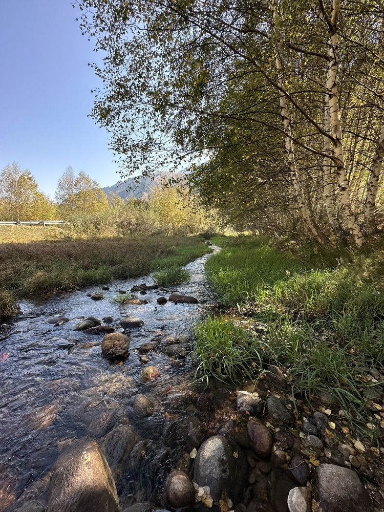 Photograph by Мария Алейникова