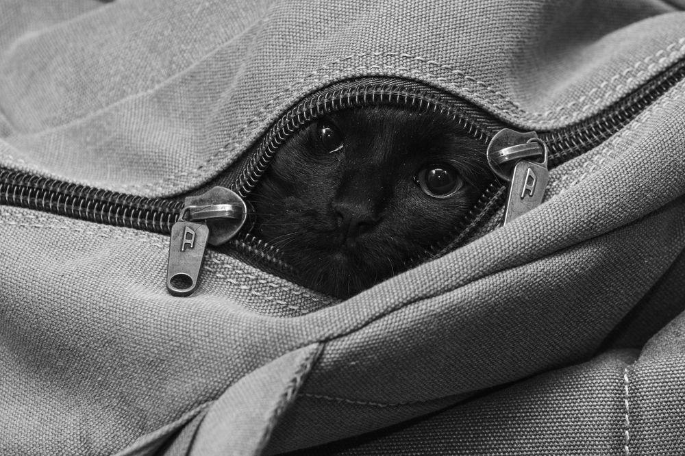 Photograph by Андрей Серый