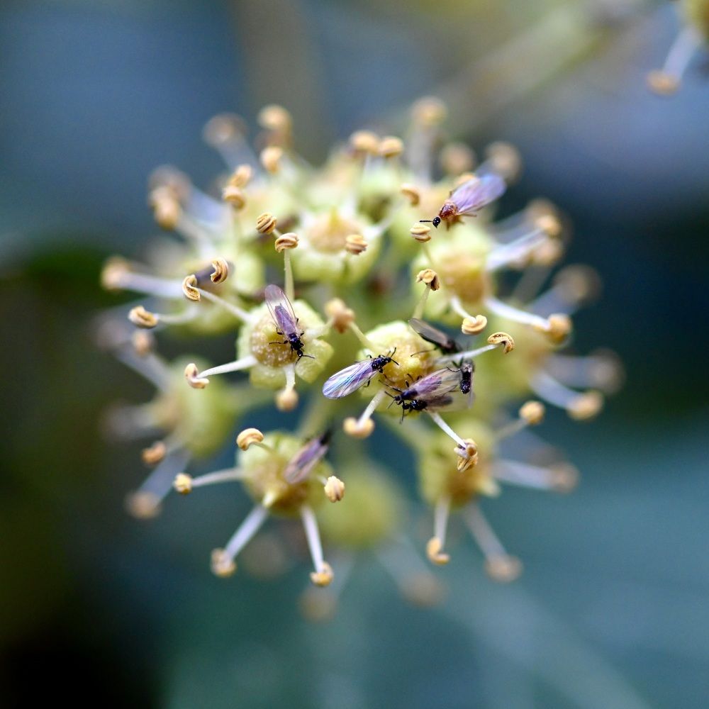 Photograph by Дмитрий Батагов