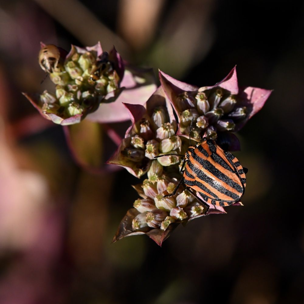 Photograph by Дмитрий Батагов