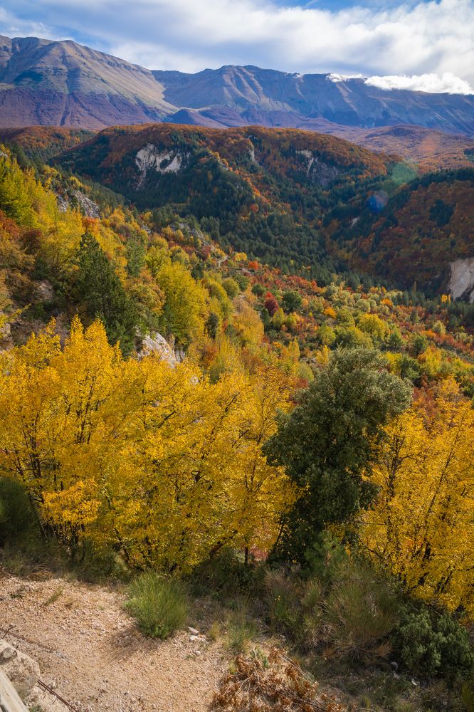 Photograph by Дария Максимова