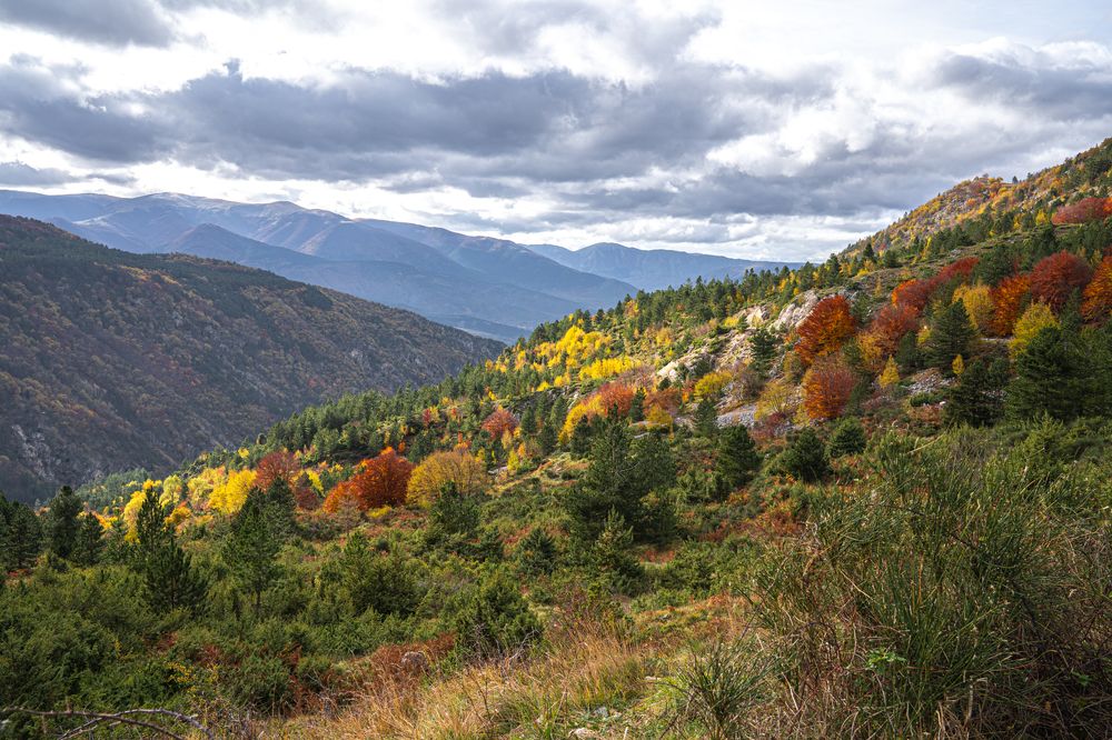 Photograph by Дария Максимова