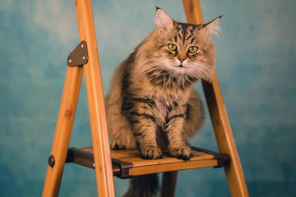 Photograph by Виктория Копытова