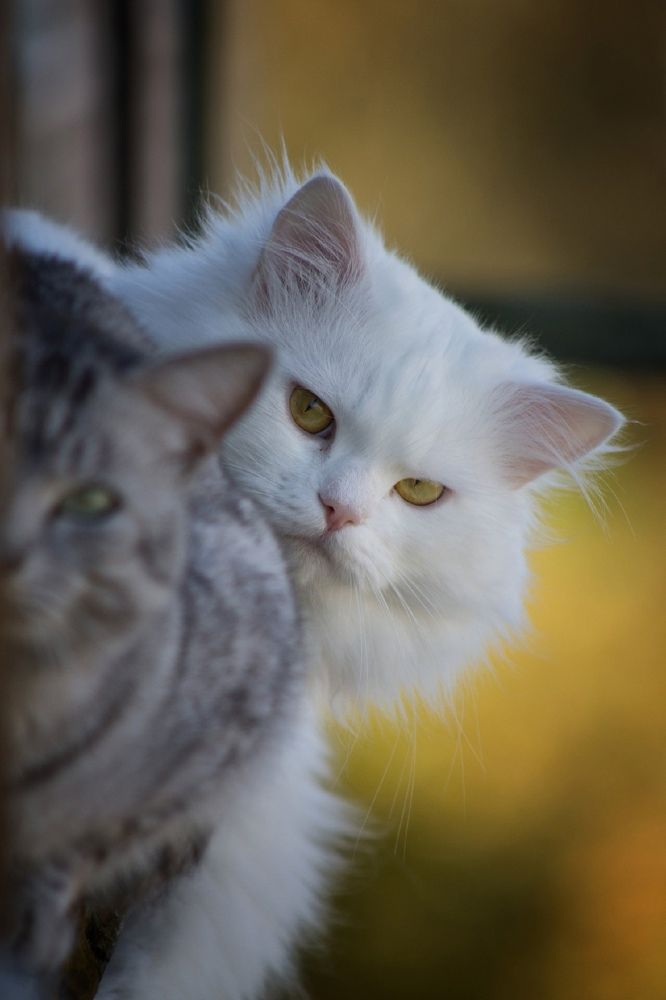 Photograph by Денис Федоров