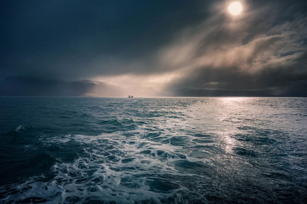 Photograph by Venelin Dimitrov