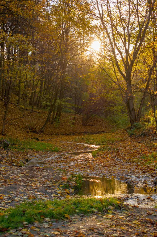 Photograph by Татьяна Шевцова