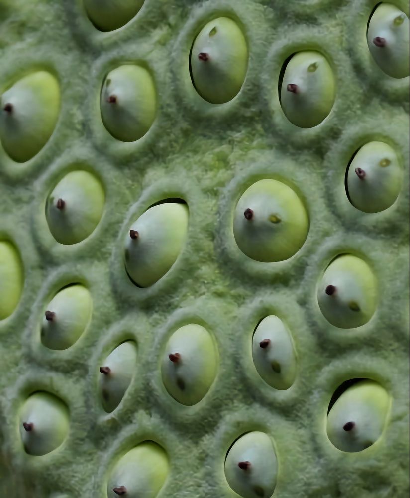 Photograph by Александр К