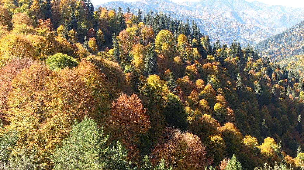 Photograph by Buket Demirel