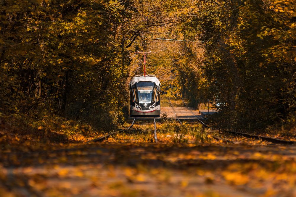 Photograph by Алексей Чеботарев