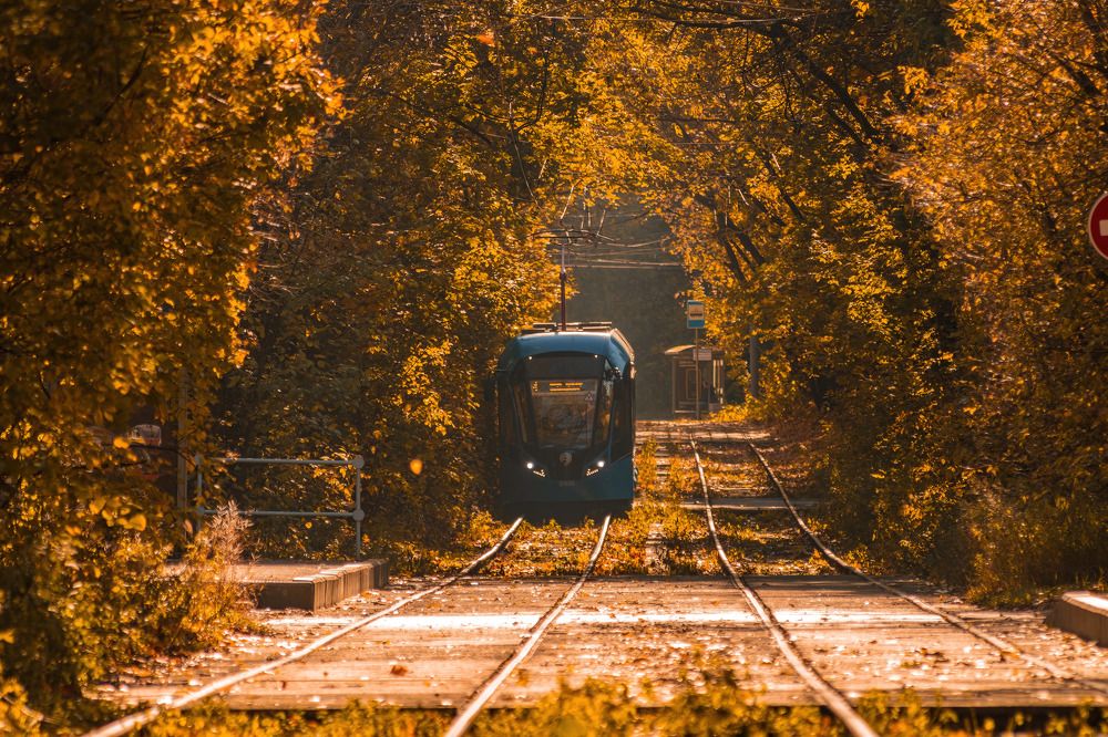 Photograph by Алексей Чеботарев