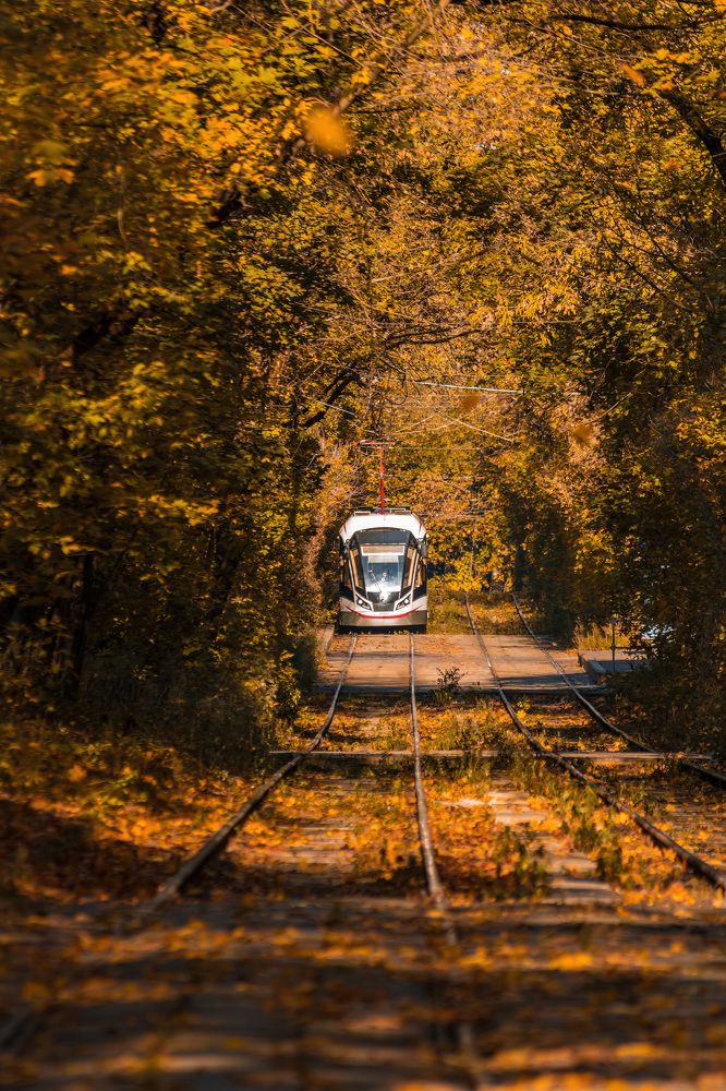 Photograph by Алексей Чеботарев