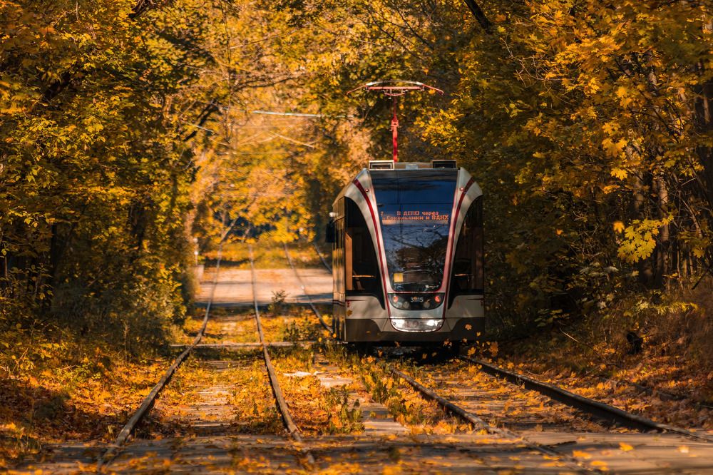 Photograph by Алексей Чеботарев