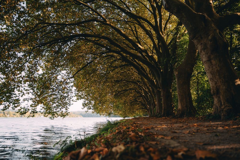 Photograph by Екатерина Карпова