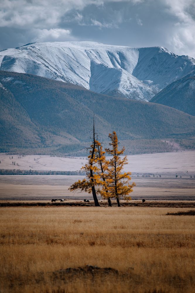 Photograph by Анастасия Сауль