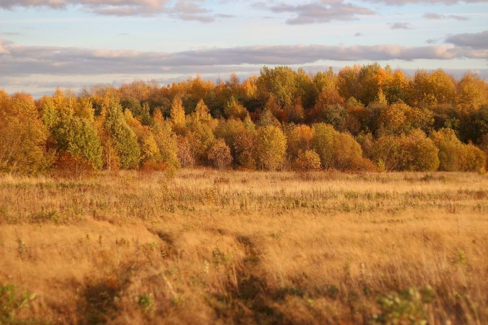 Фотография автора Андрей Шестаков