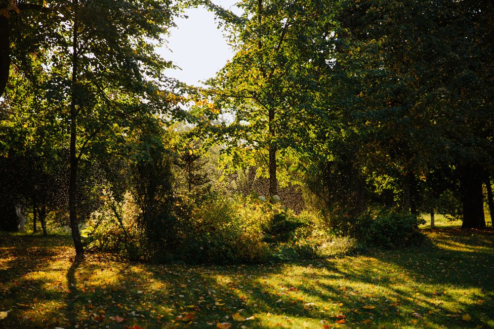 Photograph by Вероника