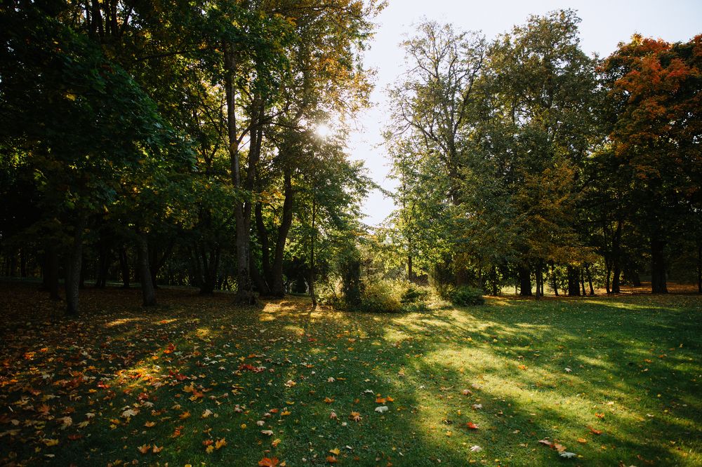 Photograph by Вероника