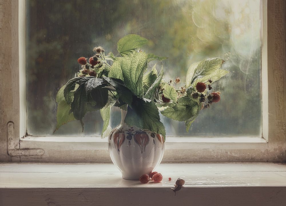 Фотография автора Виктория Шаманова