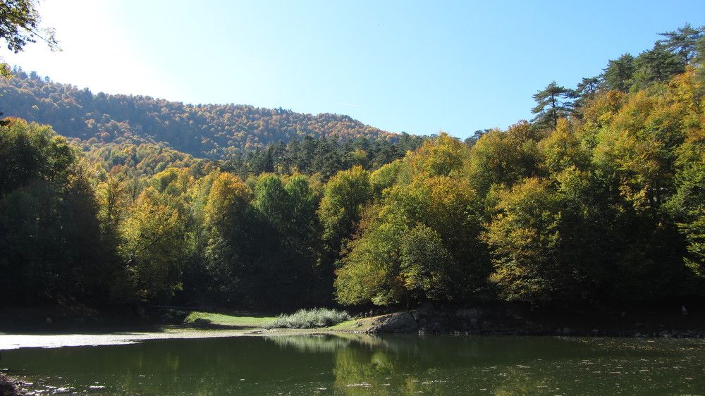 Photograph by Buket Demirel