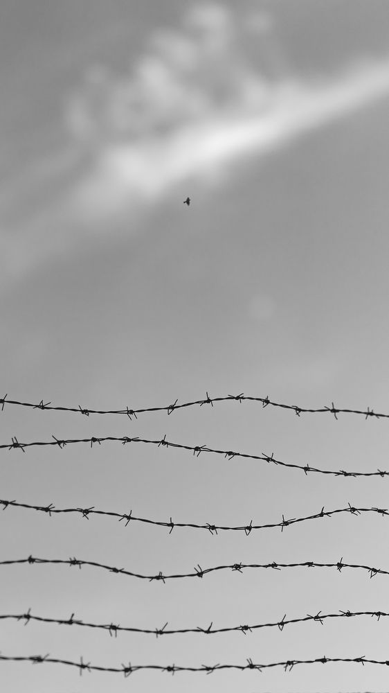 Photograph by Behnam Samipour