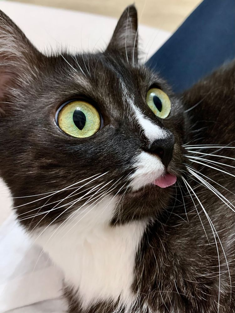 Photograph by Елена Макуха