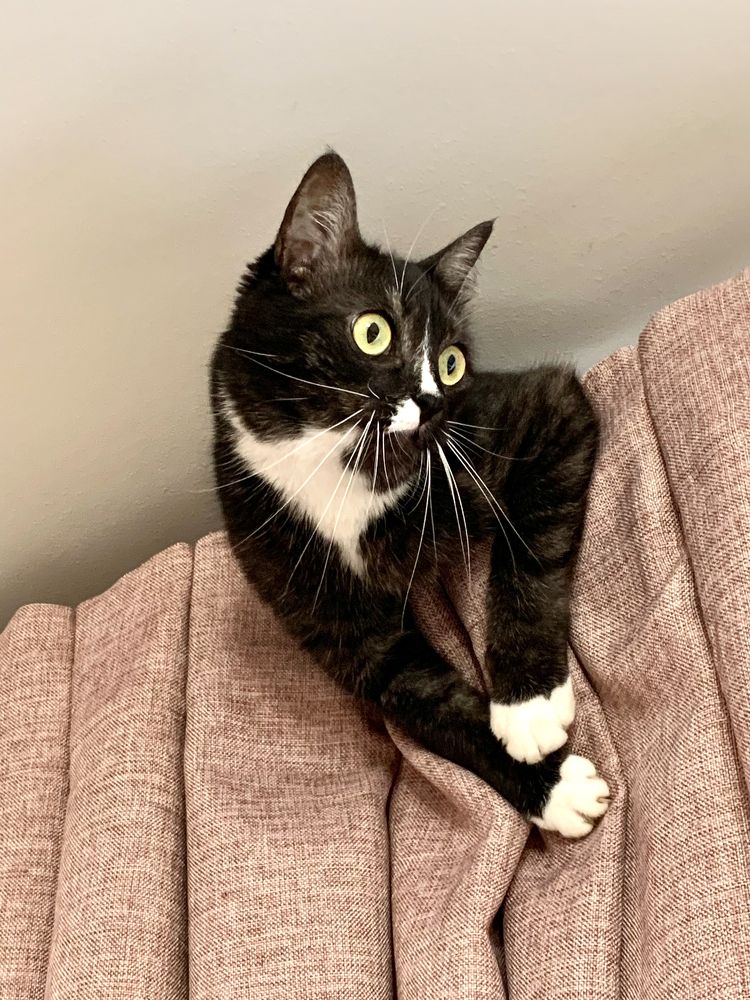 Photograph by Елена Макуха