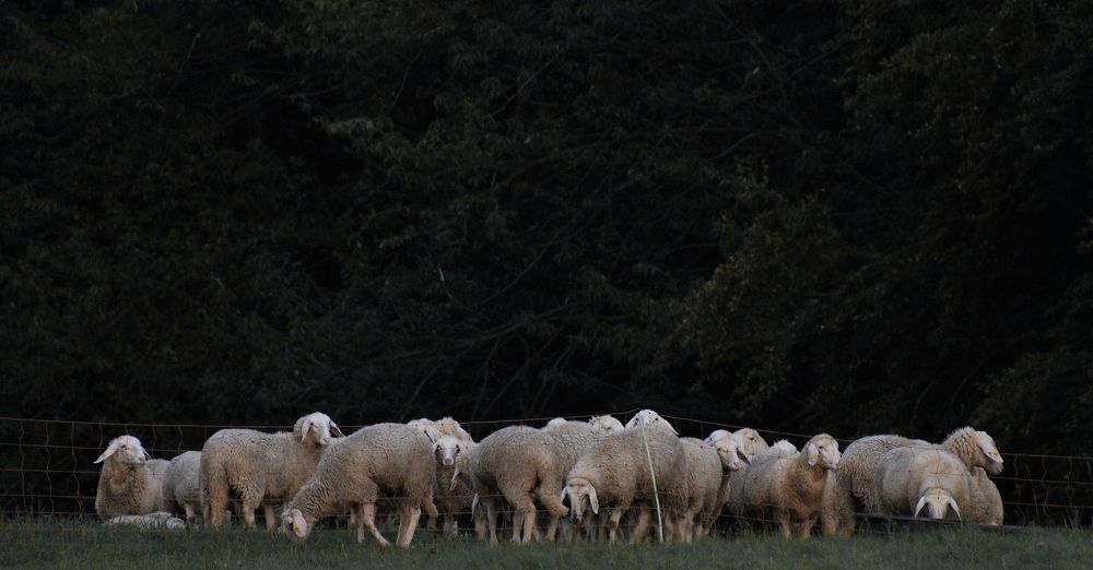 Фотография автора Ketov Vladimir