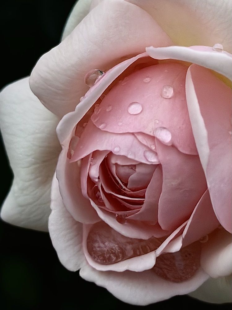 Photograph by Евгения Казакова