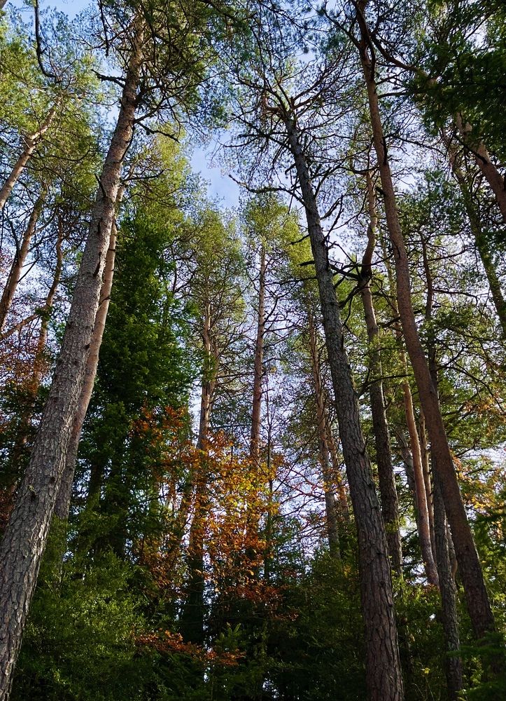 Фотография автора Olga Alekseeva