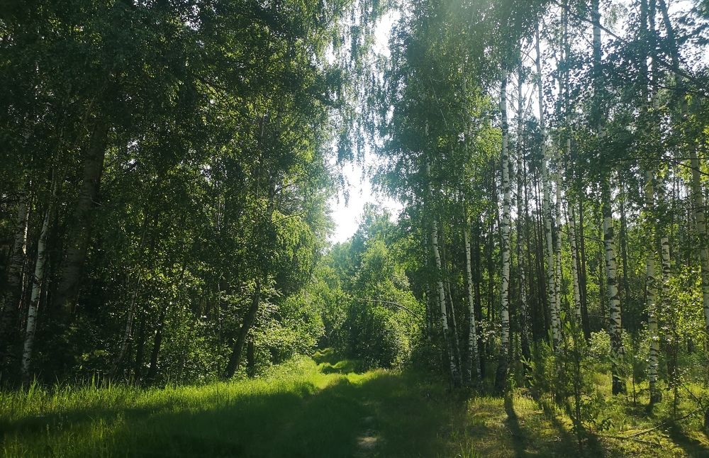 Photograph by Екатерина Борисовна Кузьмина