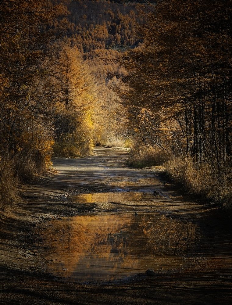 Дорога в осень