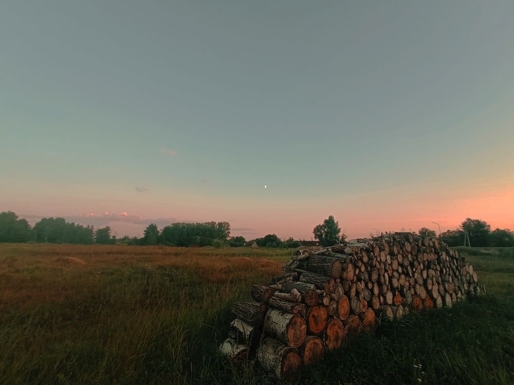 Photograph by Наталья Донковцева