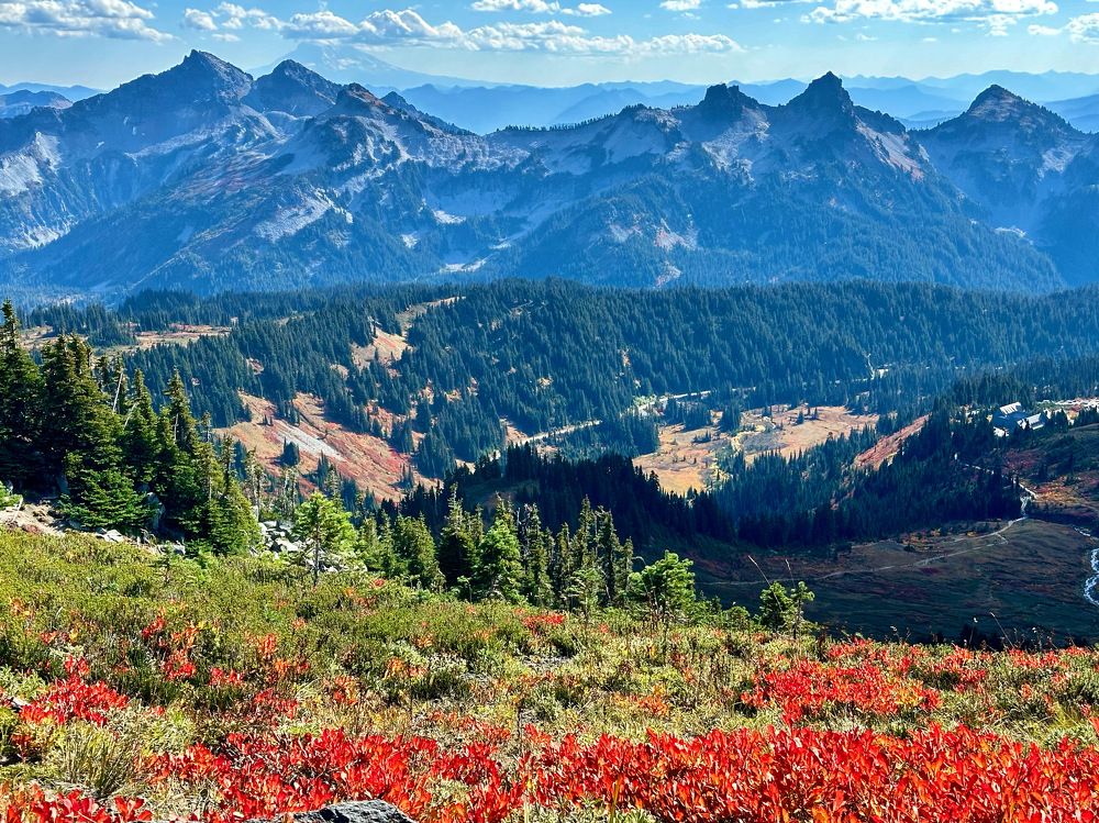 Photograph by Микова Юлия