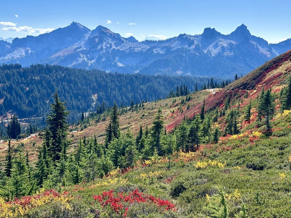 Photograph by Микова Юлия