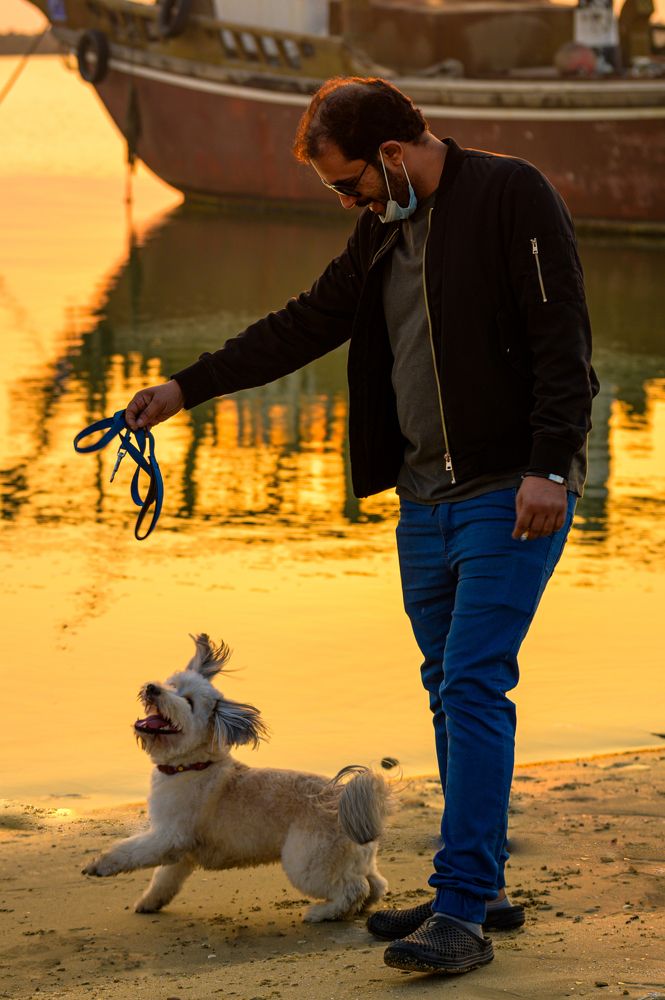 Фотография автора Elshafei Salih