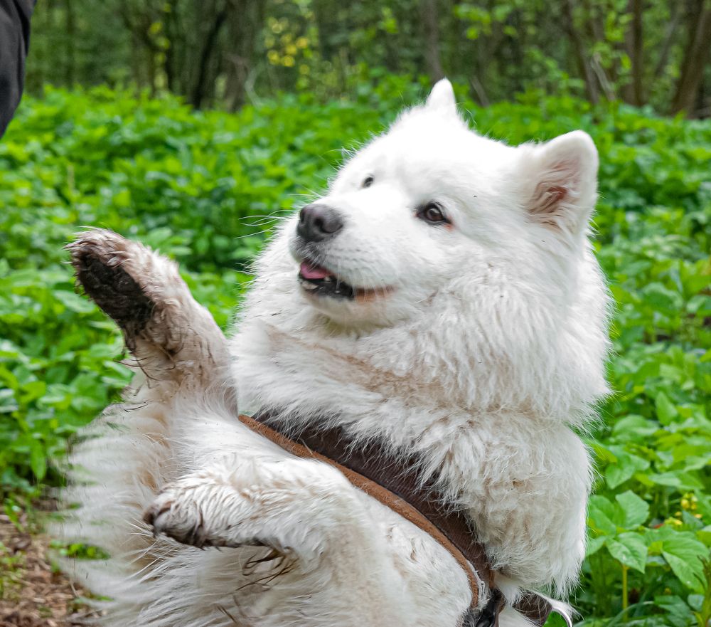 Photograph by Андрей Калинин