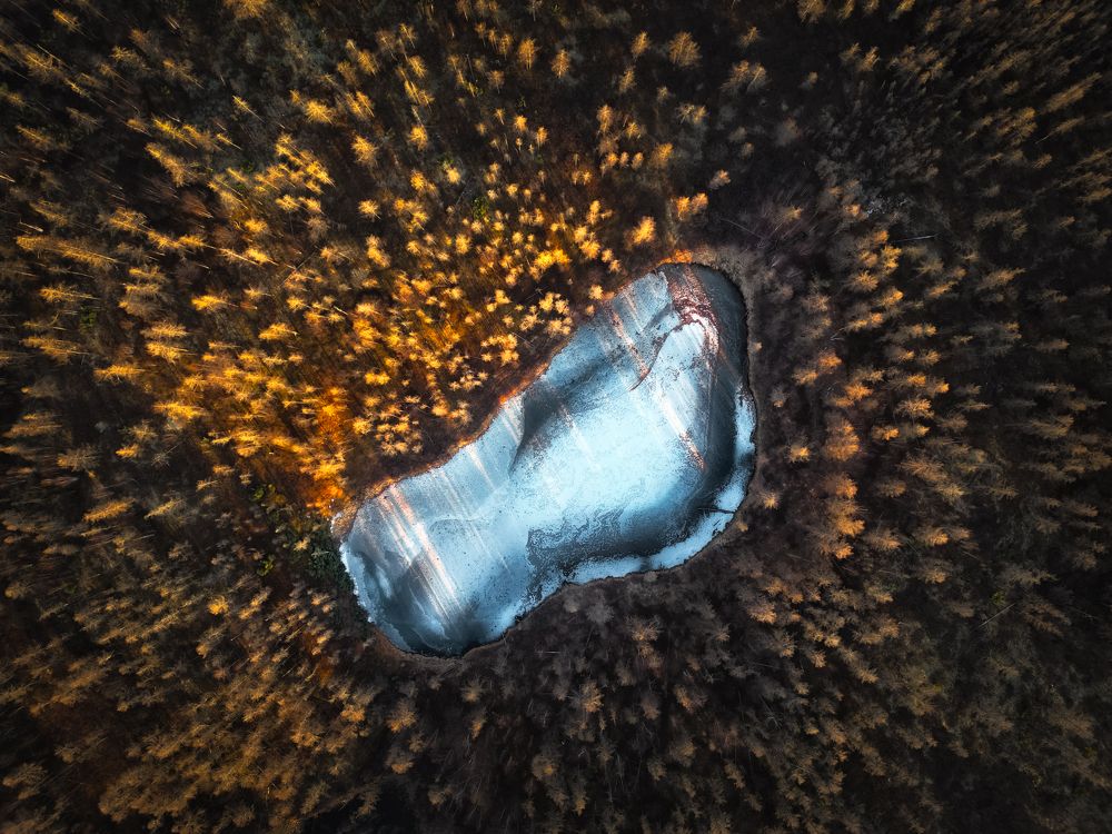 Photograph by Полякова Наталия