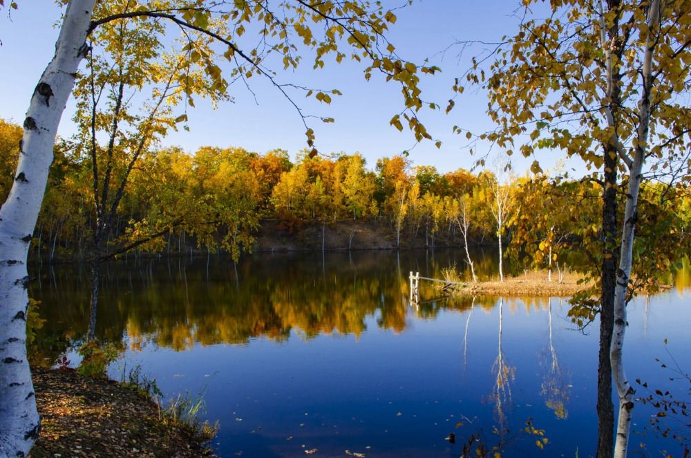 Фотография автора Светлана Скотникова