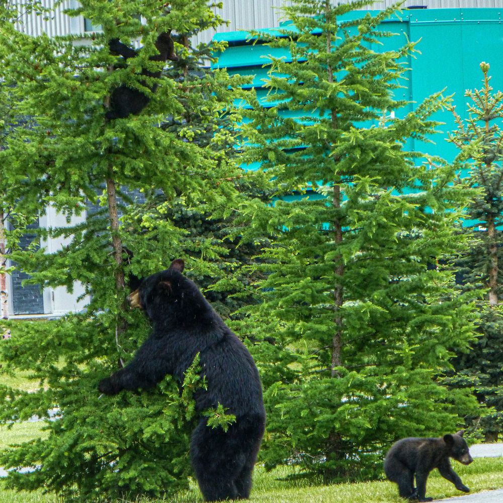 Photograph by Анатолий Костерев