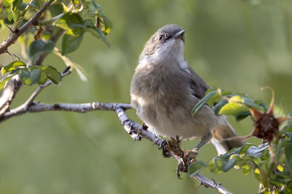 Photograph by Щепанов Дмитрий