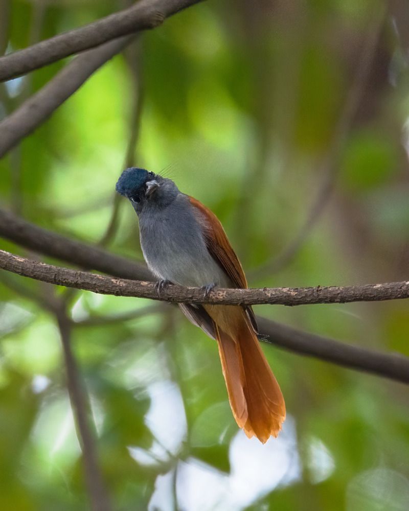 Фотография автора Toan Dinh