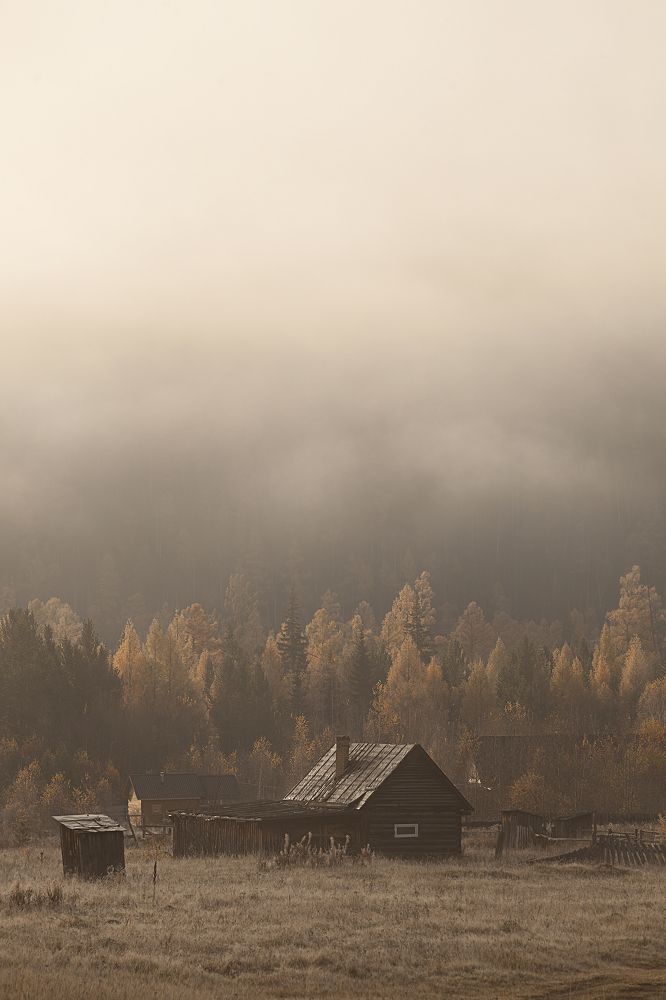 Фотография автора Лариса Кисурина